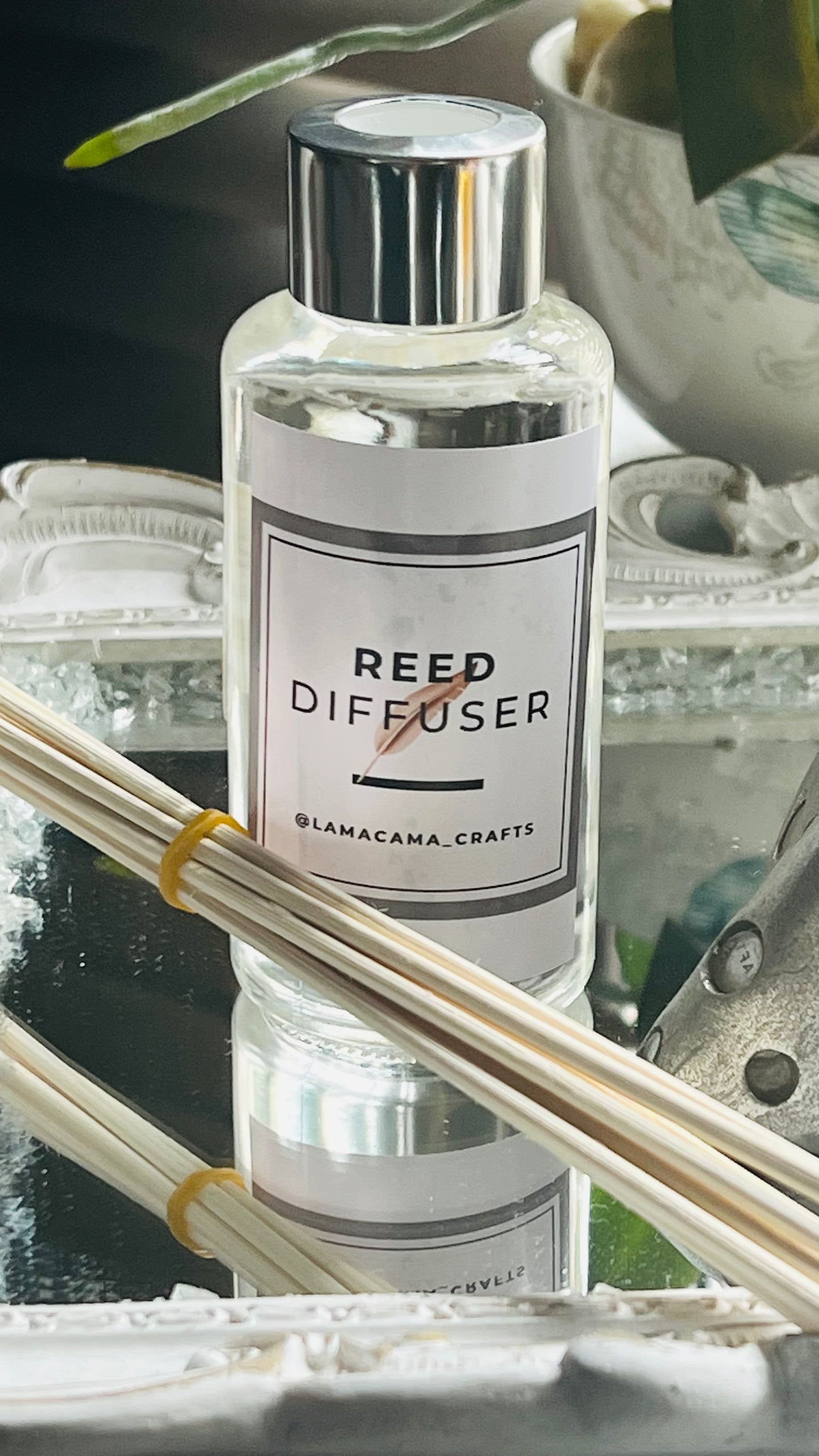 Reed Diffuser
